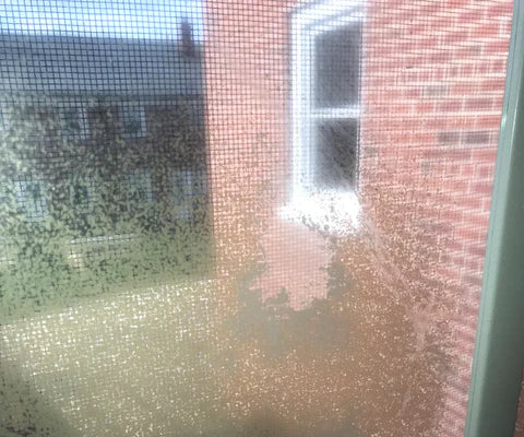 Waarom verkleurt raamfolie?