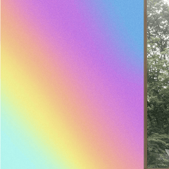 Regenboogeffect