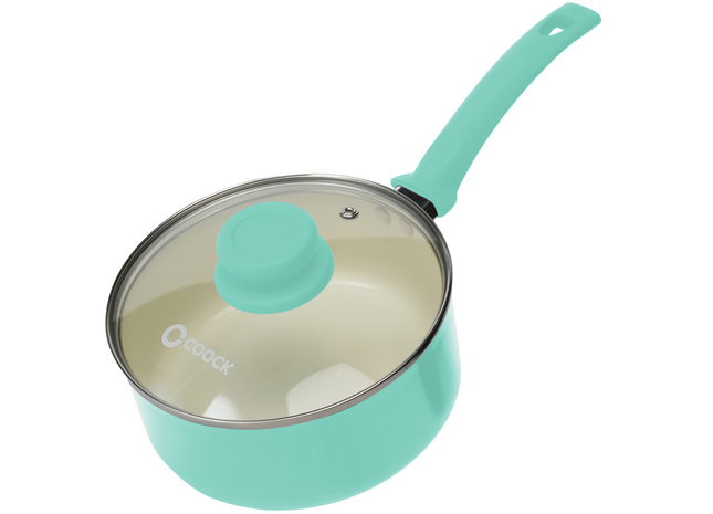 Steelpan met deksel Inductie - 2500ml - Speciale Anti-Aanbak Coating - Ergonomische Koudgrepen - Gerecycled Aluminium - Turquoise